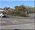 Vegetation on a roundabout, Wareham, Dorset