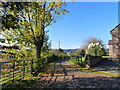 November sunshine near the Old Mill, Woolaston