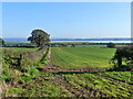 Footpath and field boundary in warm November sunshine, Alvington