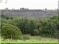 Loanhead Quarry