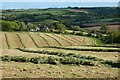 Farmland, Tregpny