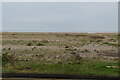 Beach, Greatstone on Sea