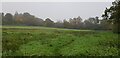 Boggy Field at Buckmore