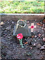 SO9975 : Grave 100 Lickey Cemetery, Remembrance Day 2022 by Roy Hughes