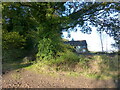 Overgrown track and derelict hut, High Woolaston, Gloucestershire