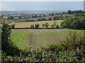 Field near Grovelands Farm