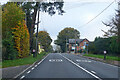 A36, West Wellow