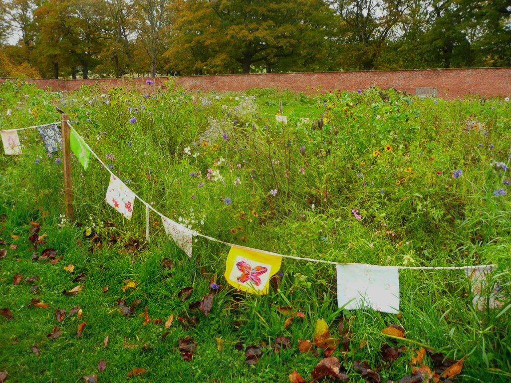 decorated-cloths-around-flower-beds-in-humphrey-bolton-geograph