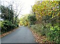 Autumn view along the lane