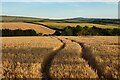 Farmland, St Columb Major