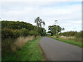 Minor road towards Harrington 