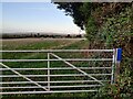 Gate and farmland at Netherton Fields