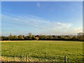 Trees by the River Oughton