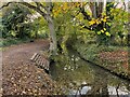 Steps into River Oughton