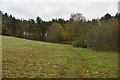 Footpath across field