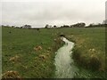 Stream through a field near Troutbeck