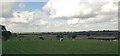 SO9072 : Cows by footpath near Tagg Farm, Chaddesley Corbett by Jeff Gogarty