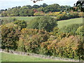 View towards Ballinger Bottom