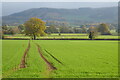SO3751 : Farmland at Sarnesfield by Philip Halling
