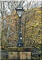 Lamp on Luggie Bridge