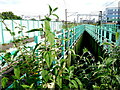 Railway Bridge over Seven Sisters Rd