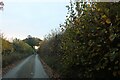 Punch Bowl Lane near Hemel Hempstead