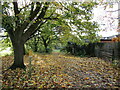 Bridleway to Village Street, Edwalton