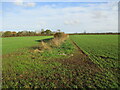 Field  edge  footpath  to  Beverley  Road  A165