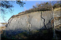 SO9391 : Limestone ripple beds on Wren's Nest Hill, Dudley by Roger  D Kidd