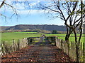 Farm access track and gate, between Tintern and St Arvans