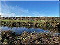 New Builds near the Trent and Mersey Canal