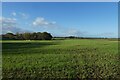 Farmland beside Askham Lane