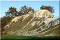 Limestone reef mounds on Wren