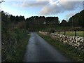 Minor road near Tegfryn