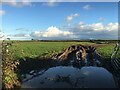 Farmland near Glanrafron