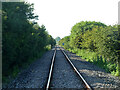 Dungeness branch line towards Appledore