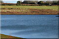 Bewl Water