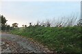 Punch Bowl Lane, Redbournbury