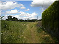 Public footpath off Moorfield Lane, Whaley Thorns