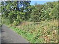 Between Haughhead Road and Lauder Road