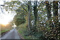 Punch Bowl Lane near Hemel Hempstead