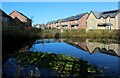 Redwing Estate, Preston