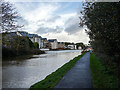 The Bude Canal