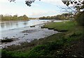 Teifi foreshore looking towards the Pinog