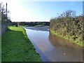 Evidence of much rainfall on the road by Gurshill Farm, Purton