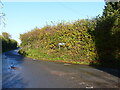 The turning to Gatcombe from Etloe, Gloucestershire