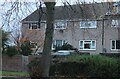 Houses on Washington Avenue, Grovehill