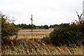 Farmland looking towards the A1303 Newmarket Road