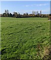 Field view from the churchyard, Rockhampton