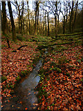 SD7356 : Tiny stream in Gisburn Forest by Andy Waddington